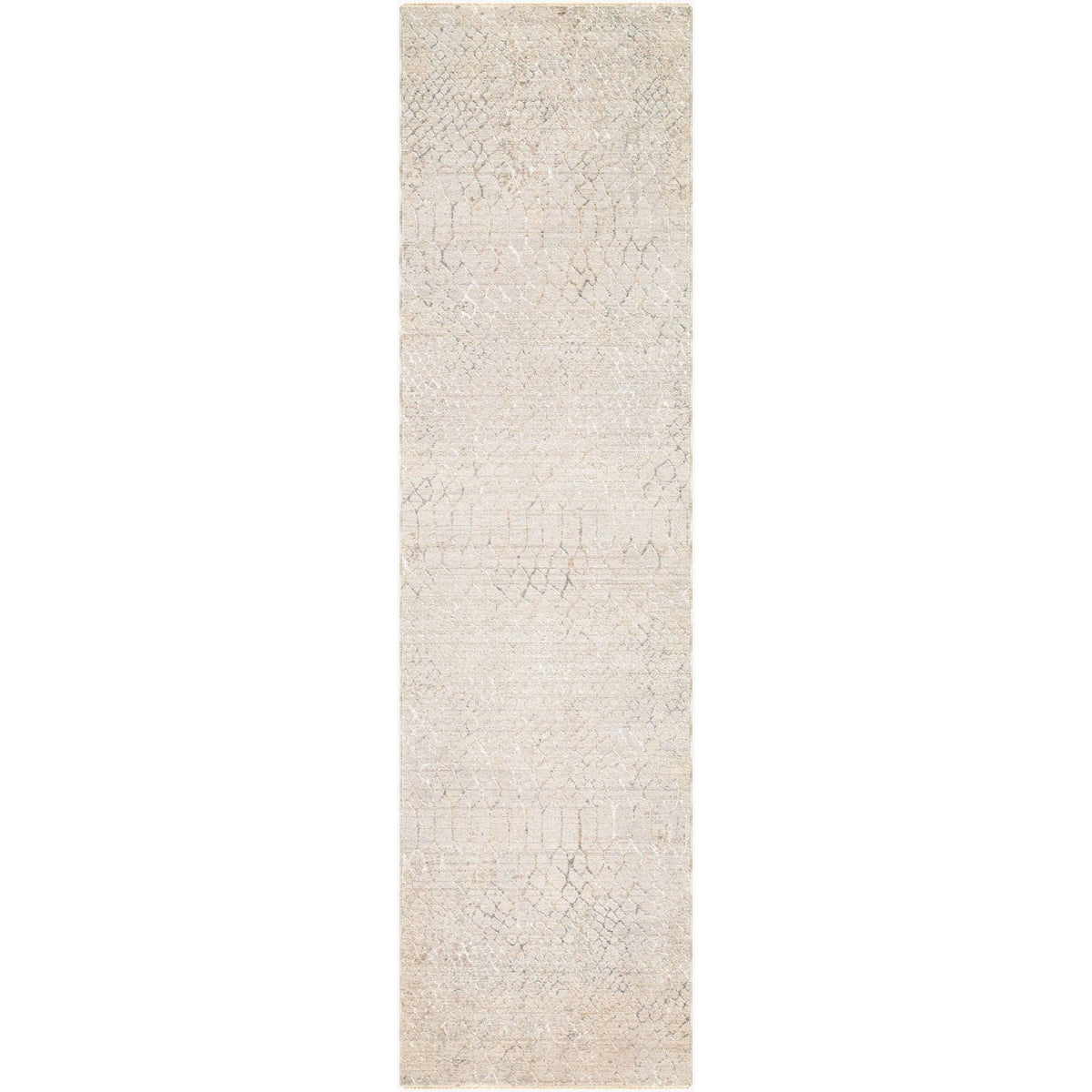 Livabliss Nathan NTH-2301 Machine Woven Rug