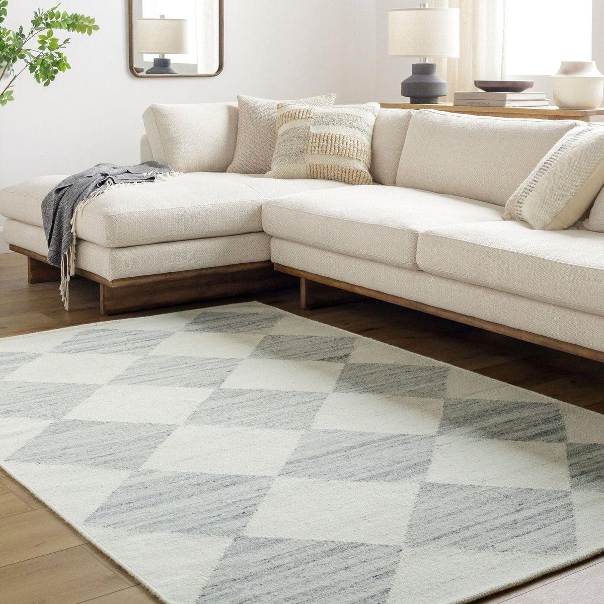 Livabliss Antho VVAT-2303 Hand Woven Rug
