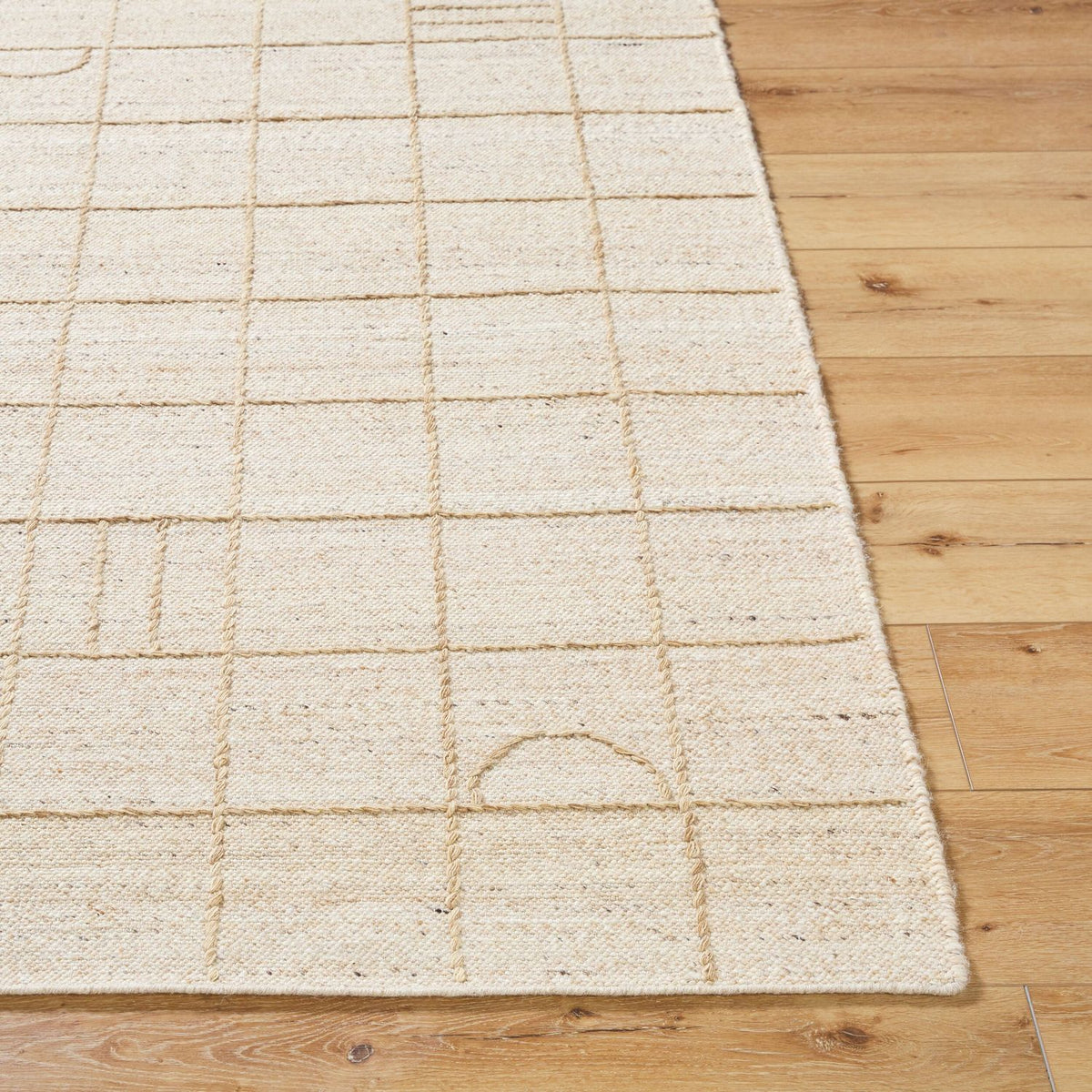 Livabliss Marcela MCL-2303 Hand Woven Rug