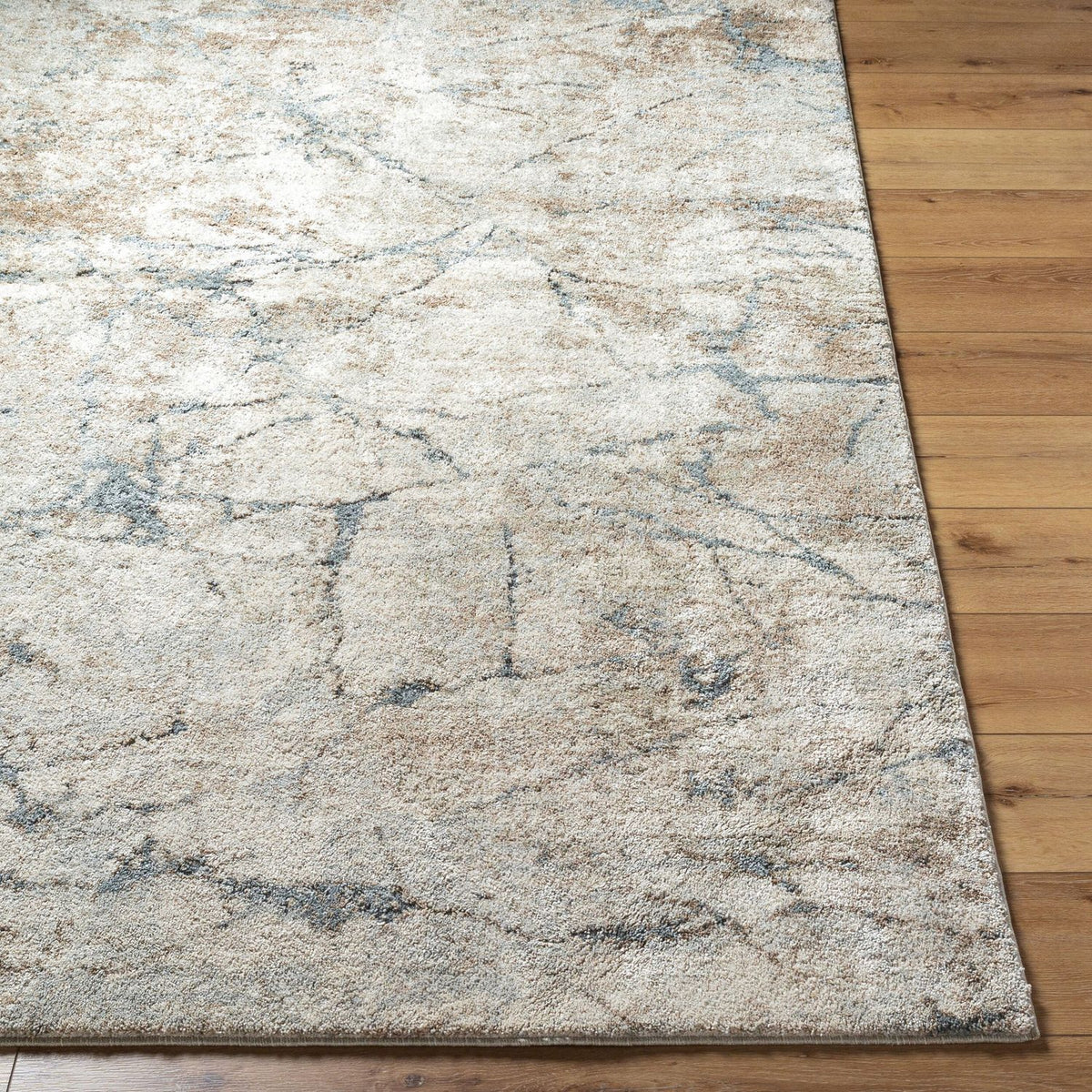 Livabliss Avellino AVL-2339 Machine Woven Rug