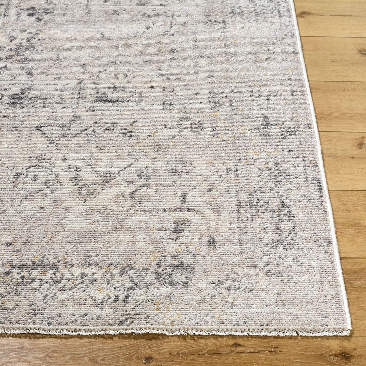 Livabliss Azhar AZR-2302 Machine Woven Rug