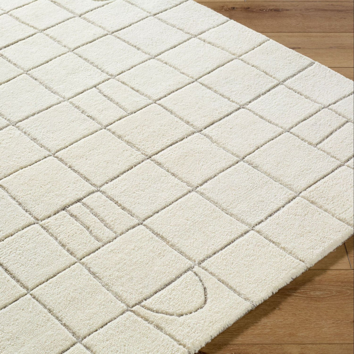 Livabliss Portobello PBO-2305 Hand Tufted Rug