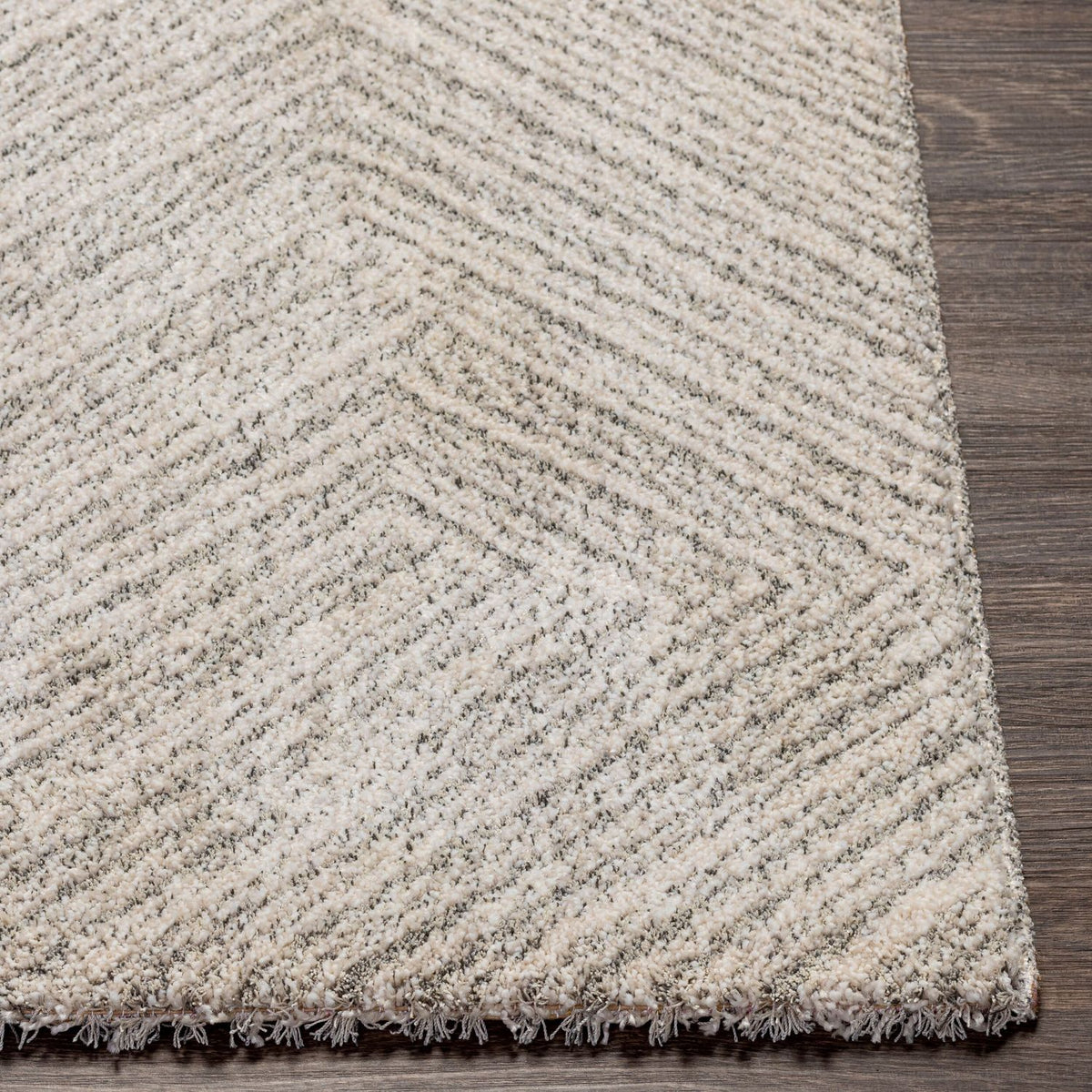 Livabliss Gavic GVC-2302 Machine Woven Rug