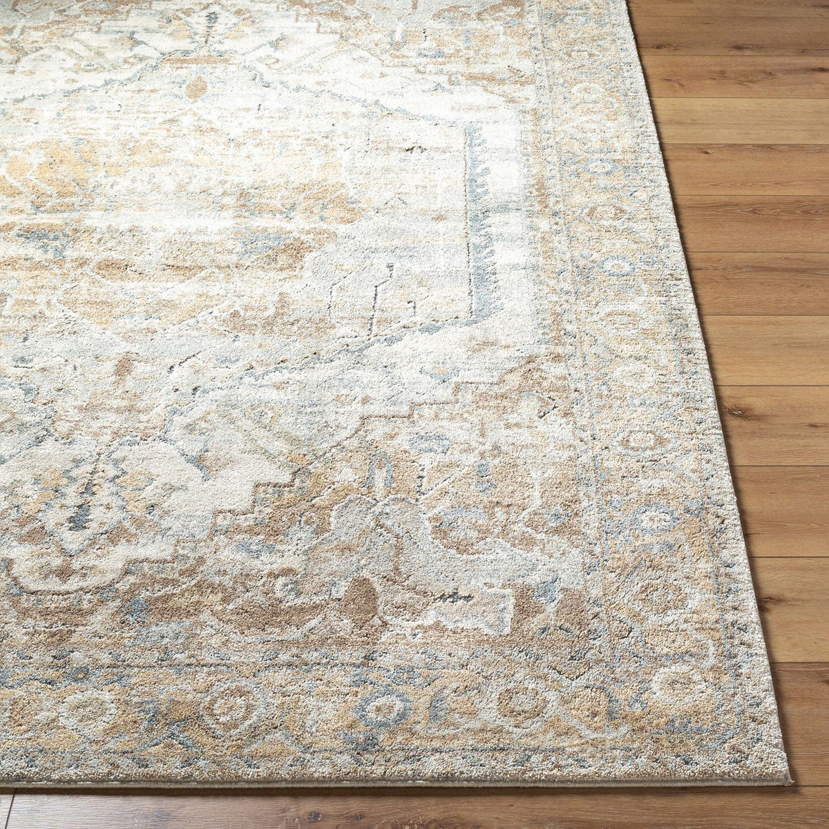 Livabliss Avellino AVL-2318 Machine Woven Rug