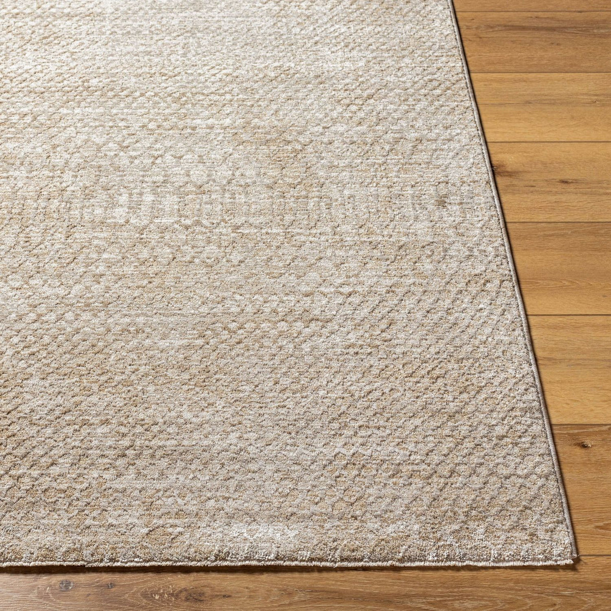 Livabliss Masterpiece MPC-2303 Machine Woven Rug