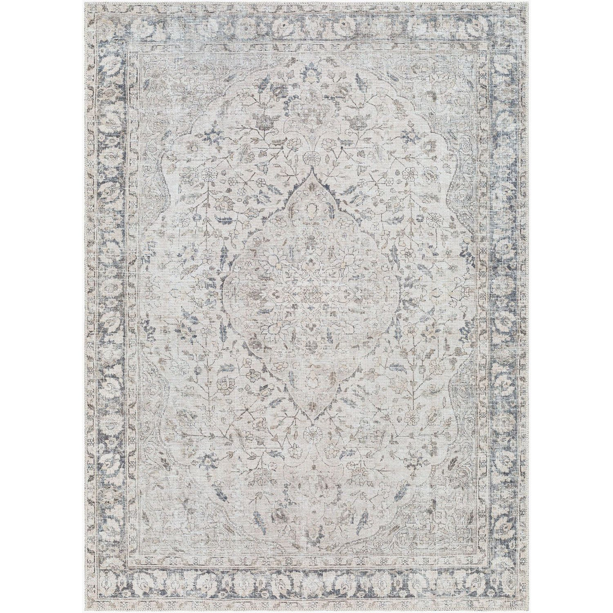 Livabliss Amelie AML-2385 Machine Woven Rug