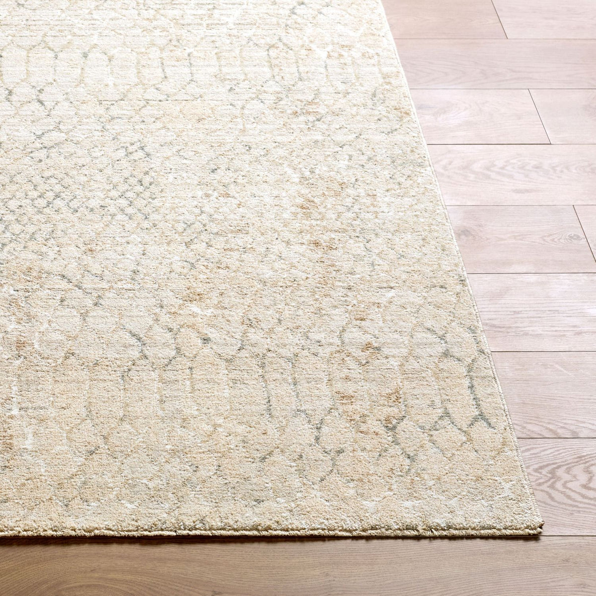 Livabliss Nathan NTH-2301 Machine Woven Rug