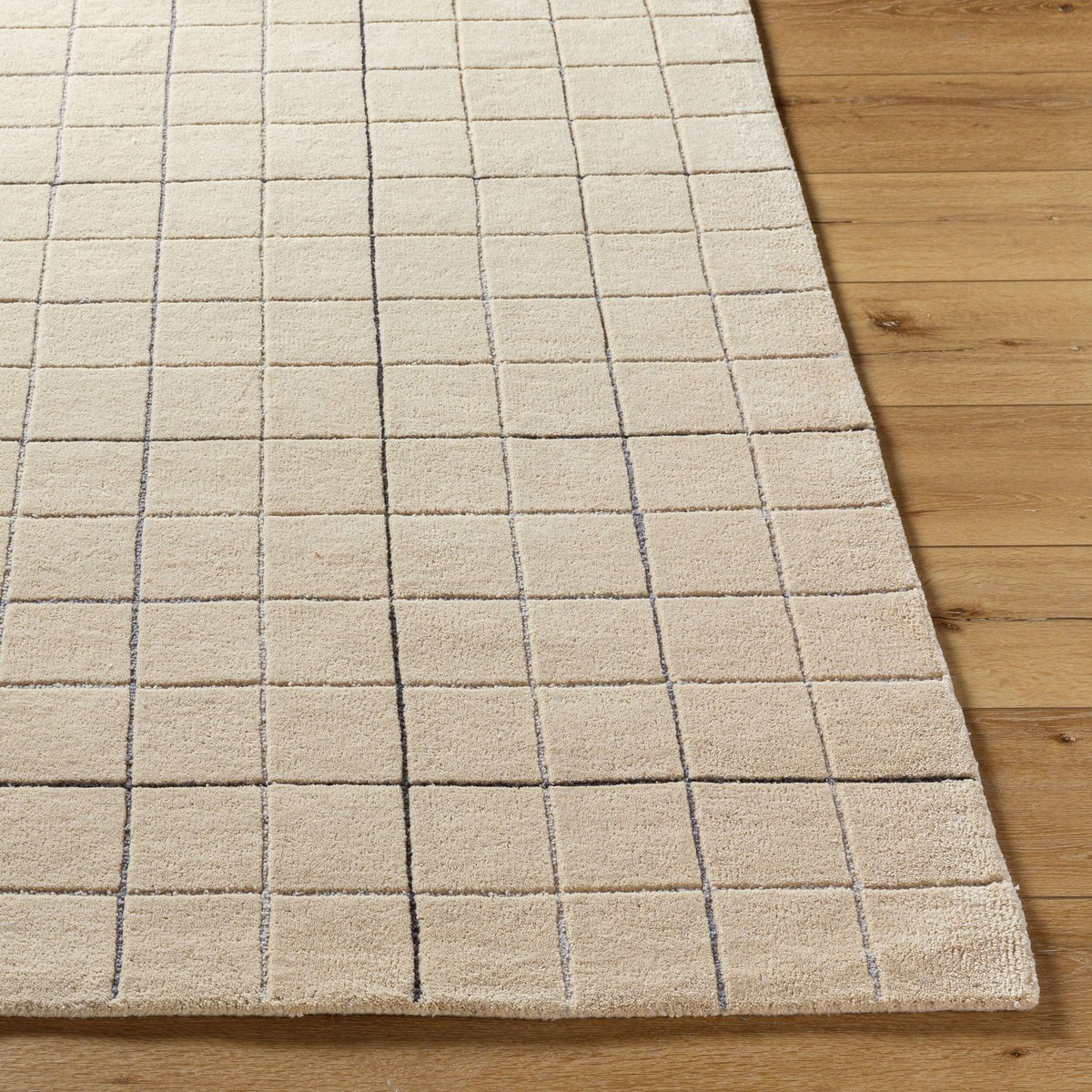 Livabliss Brook BKO-2343 Hand Tufted Rug