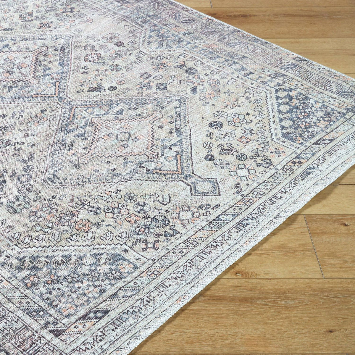 Livabliss Eleni VVEL-2301 Machine Woven Rug
