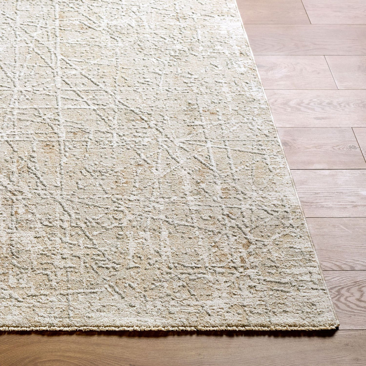 Livabliss Nathan NTH-2300 Machine Woven Rug