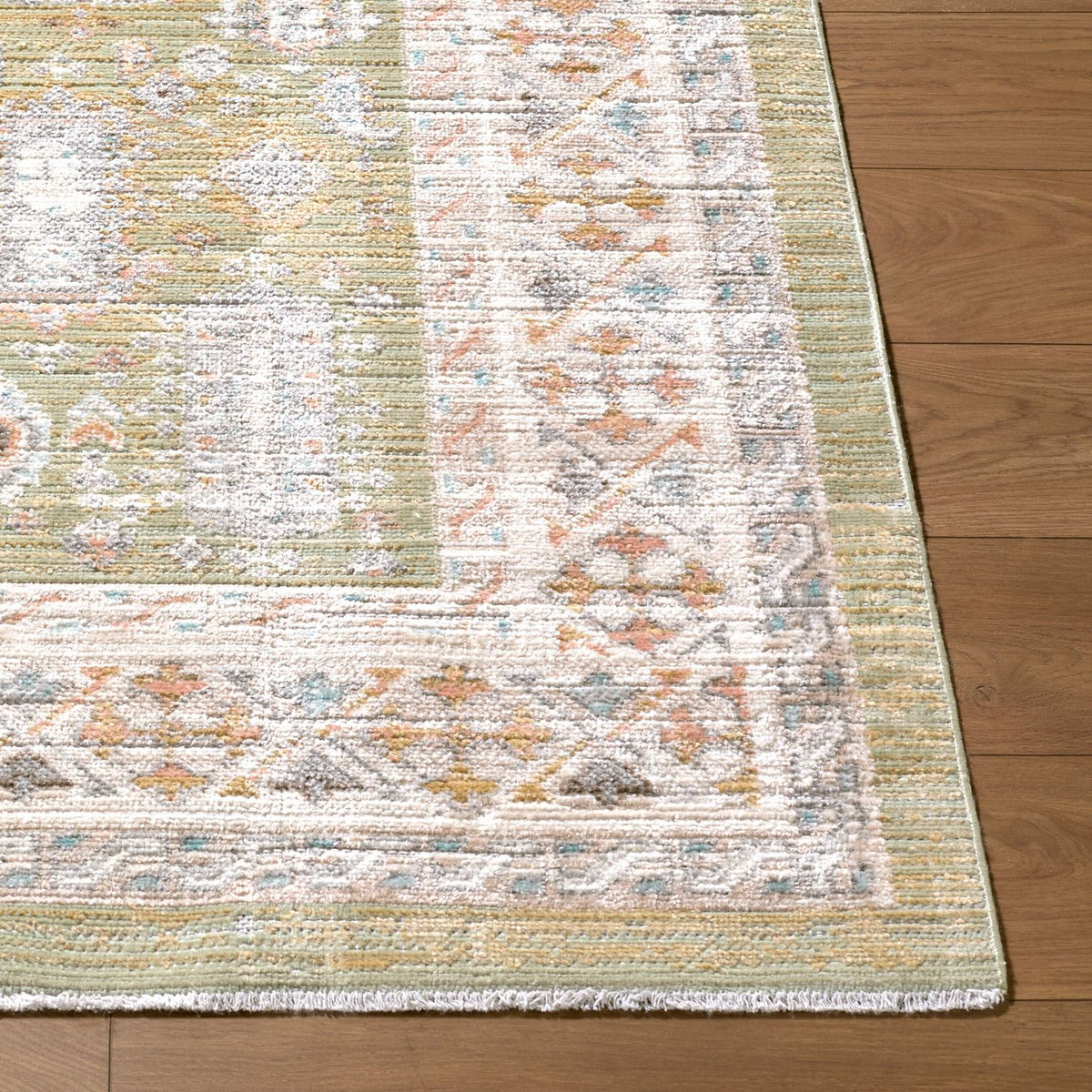 Livabliss Amir AMR-2301 Machine Woven Rug