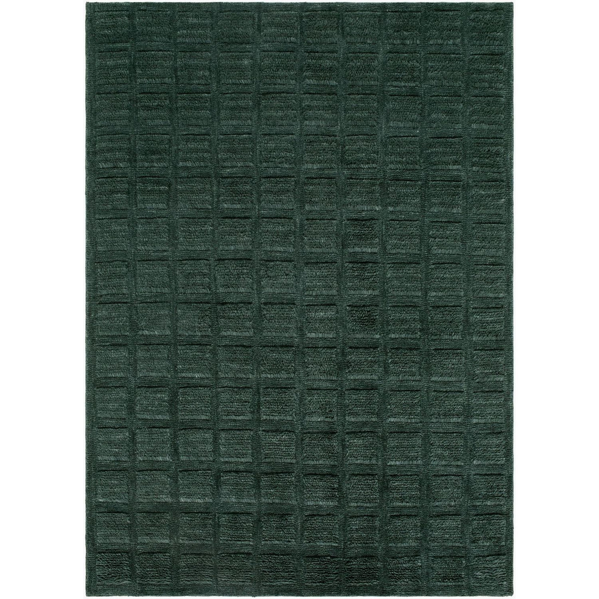 Livabliss Eleve EEV-2302 Hand Woven Rug