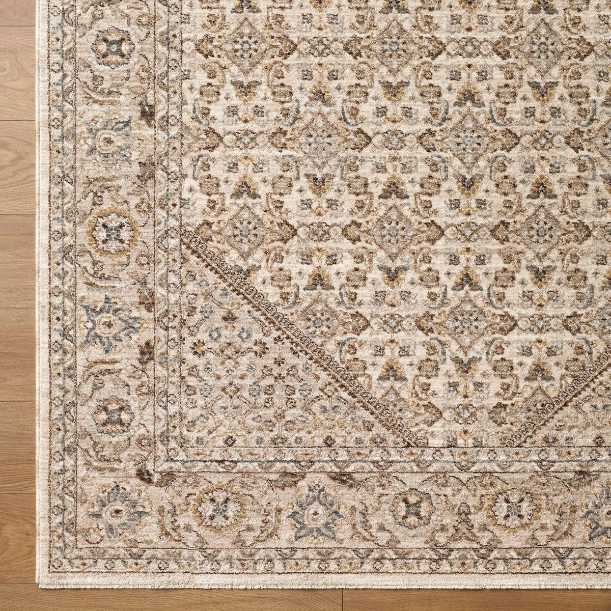 Livabliss Arda ACZ-2315 Machine Woven Rug