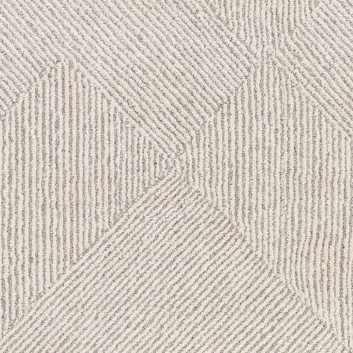 Livabliss Gavic GVC-2304 Machine Woven Rug