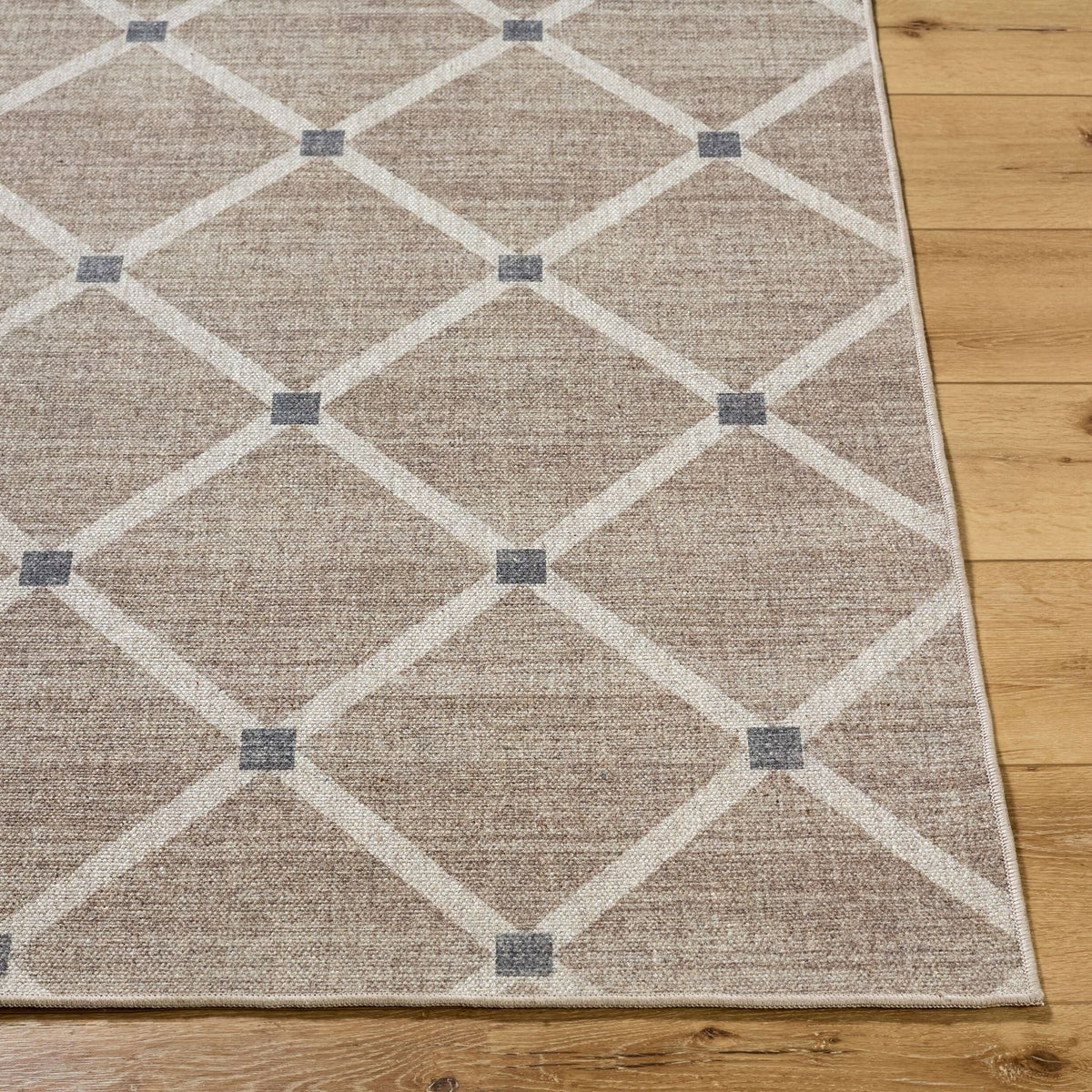 Livabliss Judie JUD-2302 Hand Woven Rug