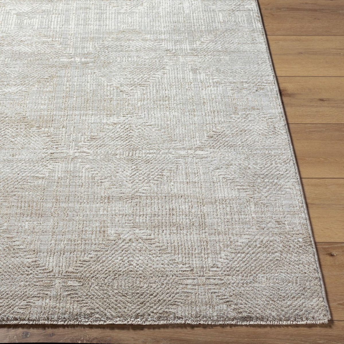 Livabliss Masterpiece MPC-2313 Machine Woven Rug