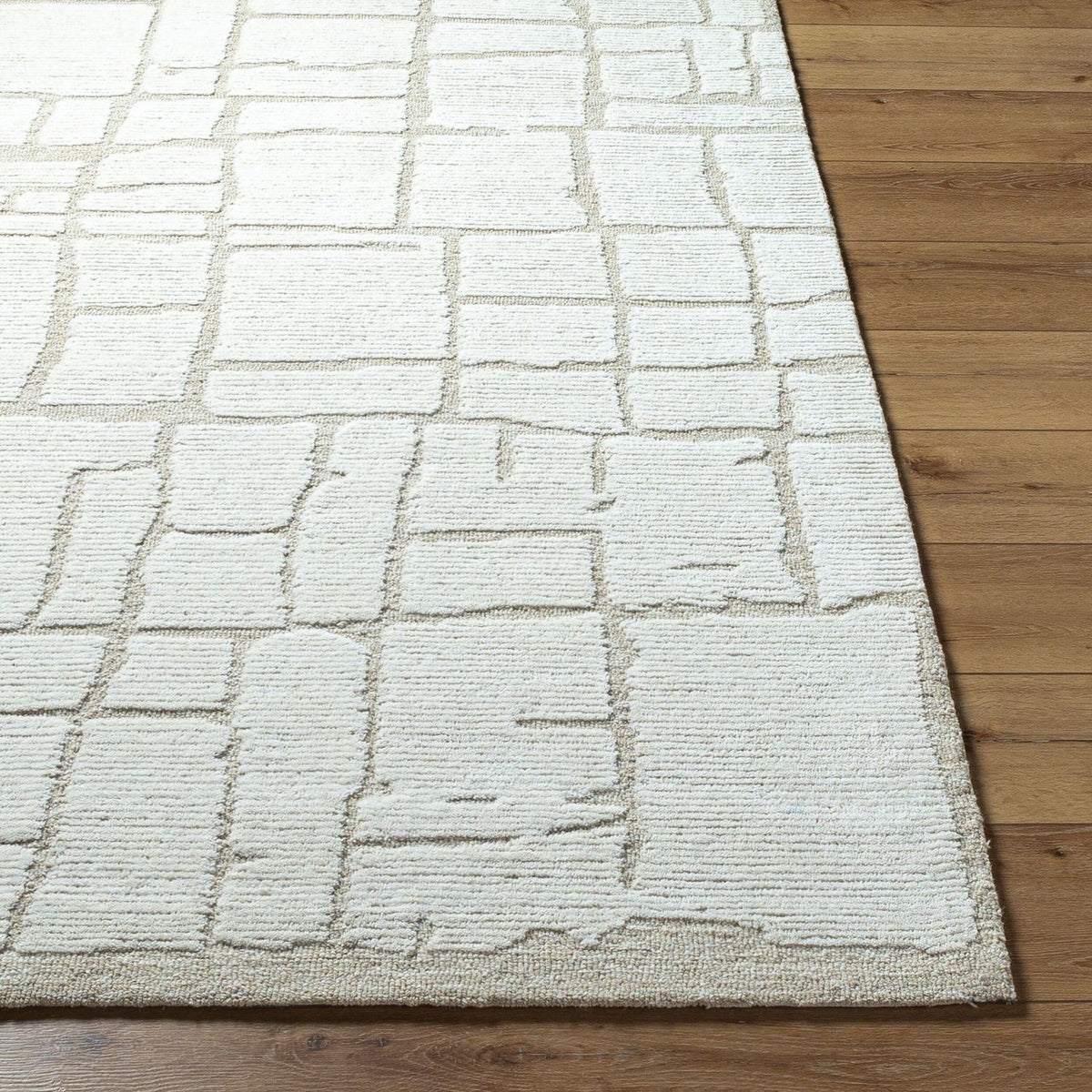 Livabliss Bianca BNC-2300 Hand Tufted Rug