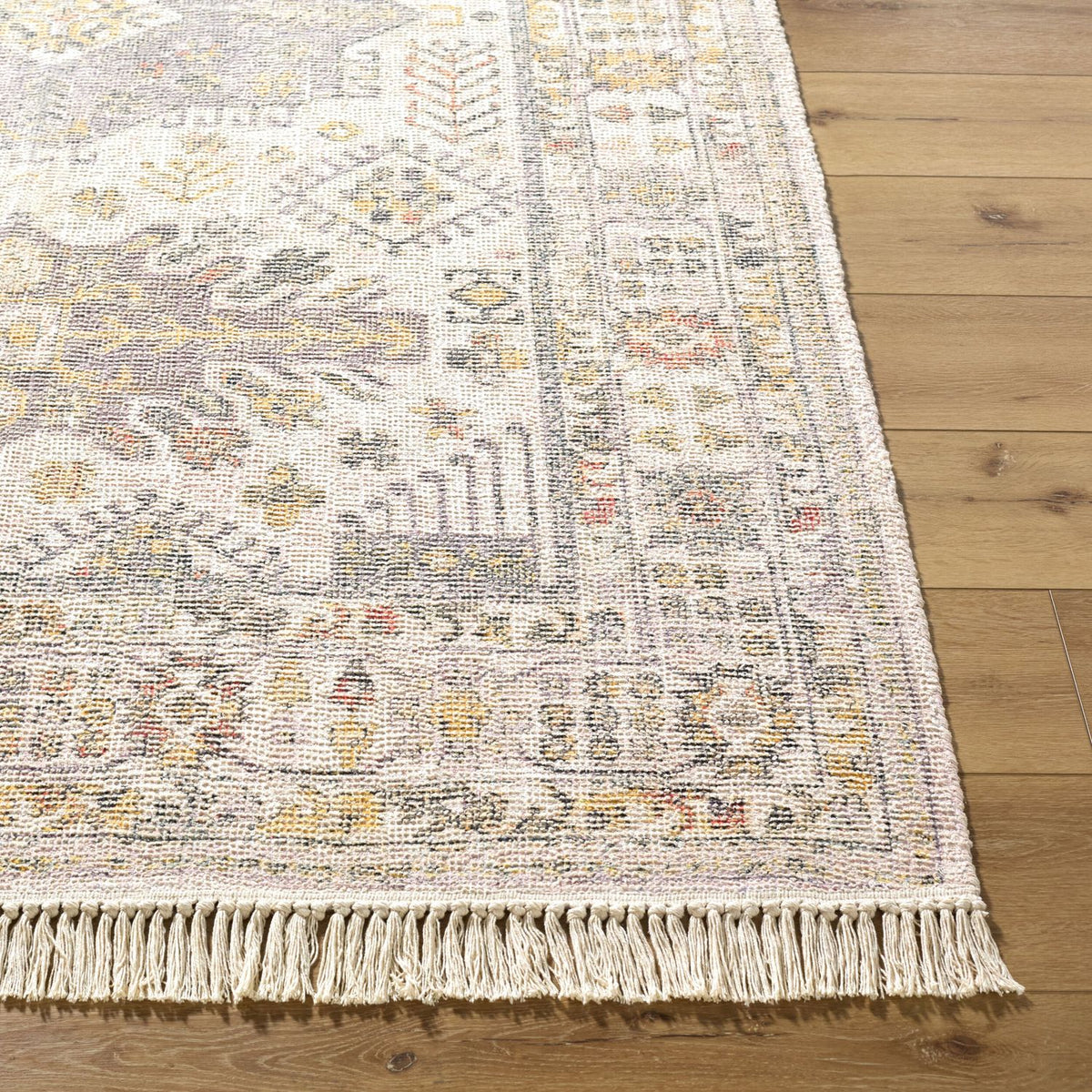 Livabliss Belfast BLF-2301 Hand Loomed Rug