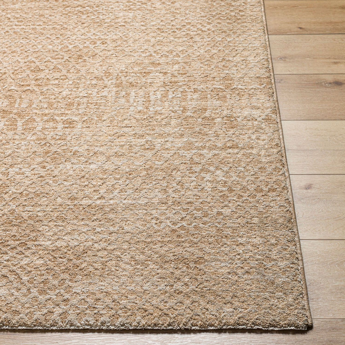 Livabliss Masterpiece MPC-2302 Machine Woven Rug