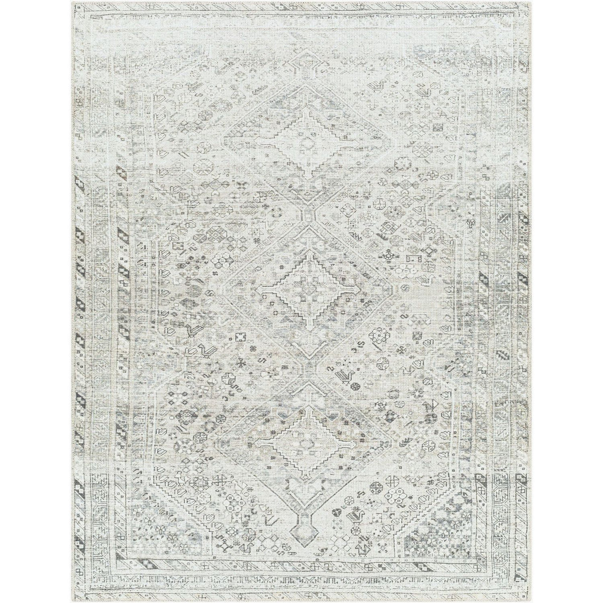 Livabliss Amelie AML-2379 Machine Woven Rug