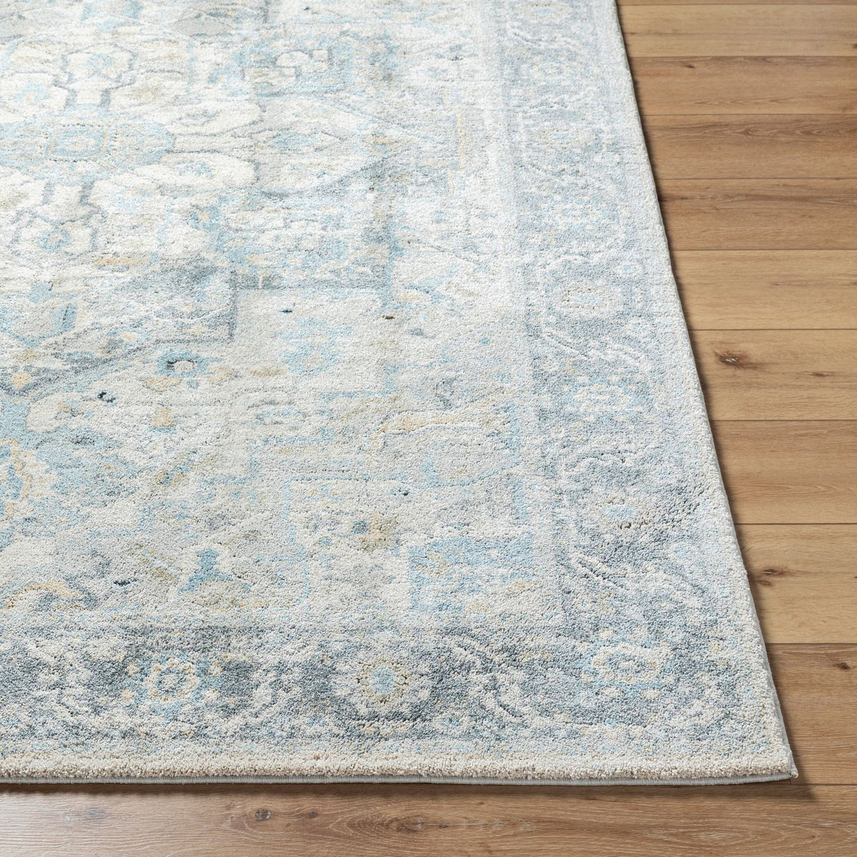 Livabliss Avellino AVL-2301 Machine Woven Rug