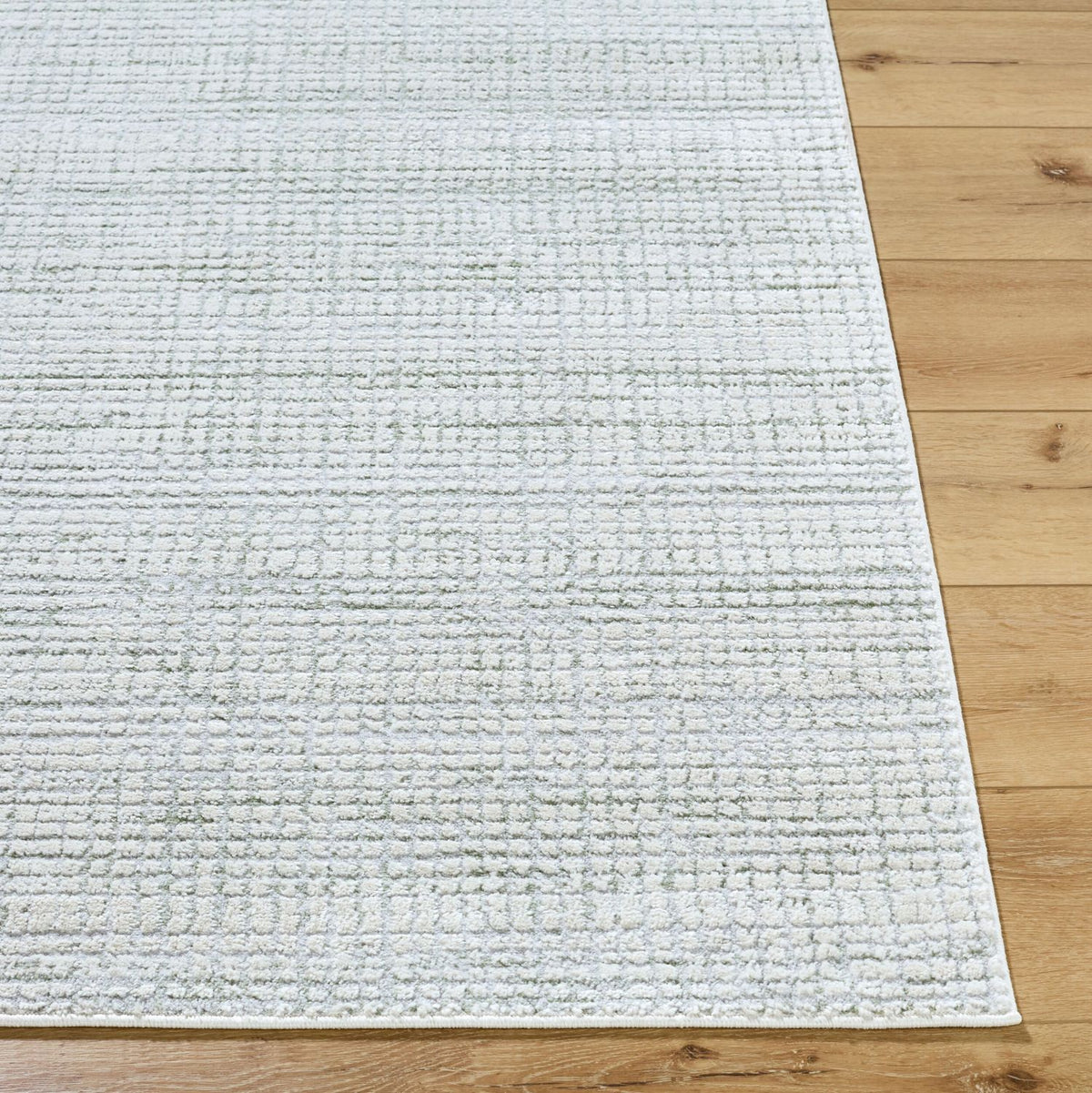 Livabliss Siyah SIY-2319 Machine Woven Rug
