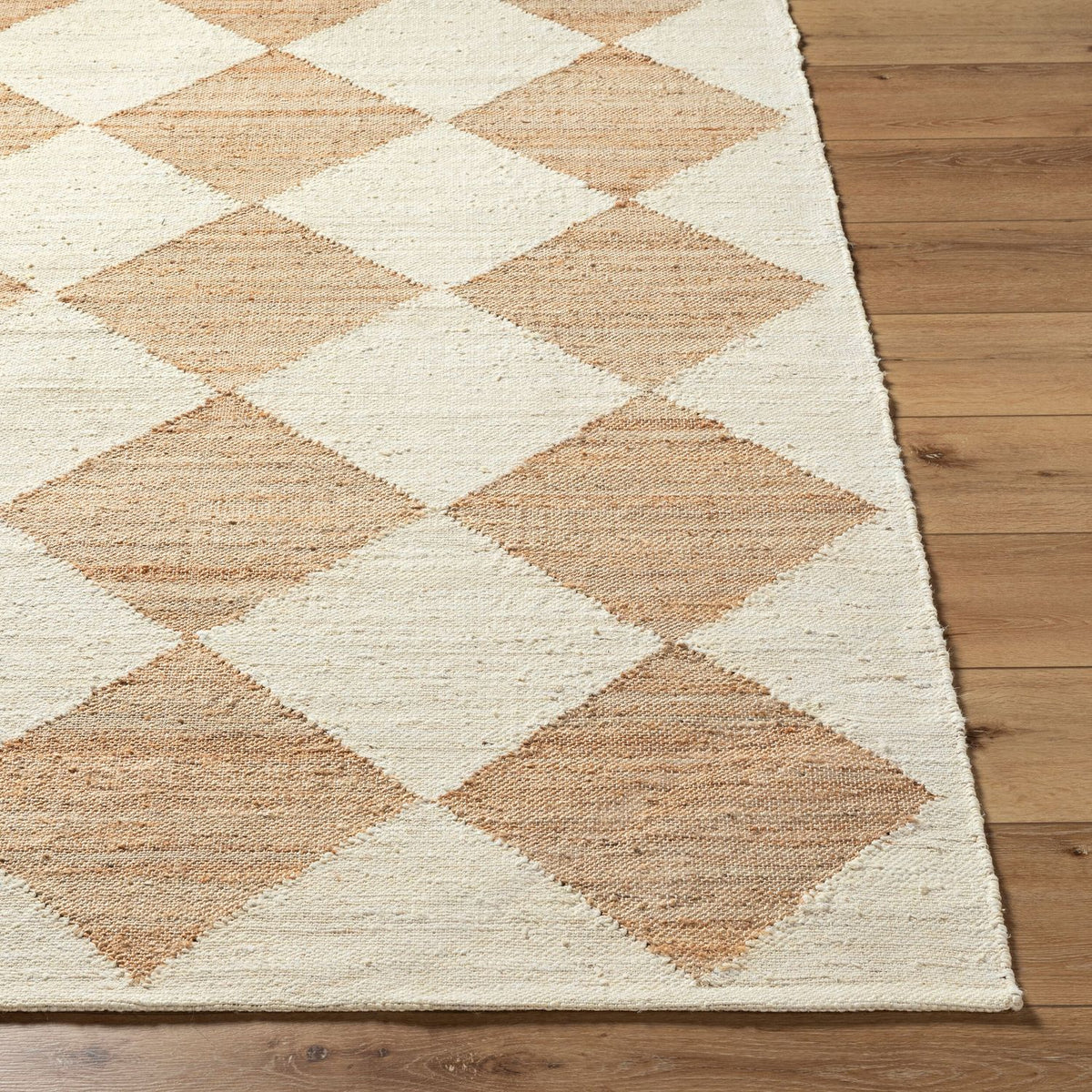 Livabliss Antho VVAT-2301 Hand Woven Rug