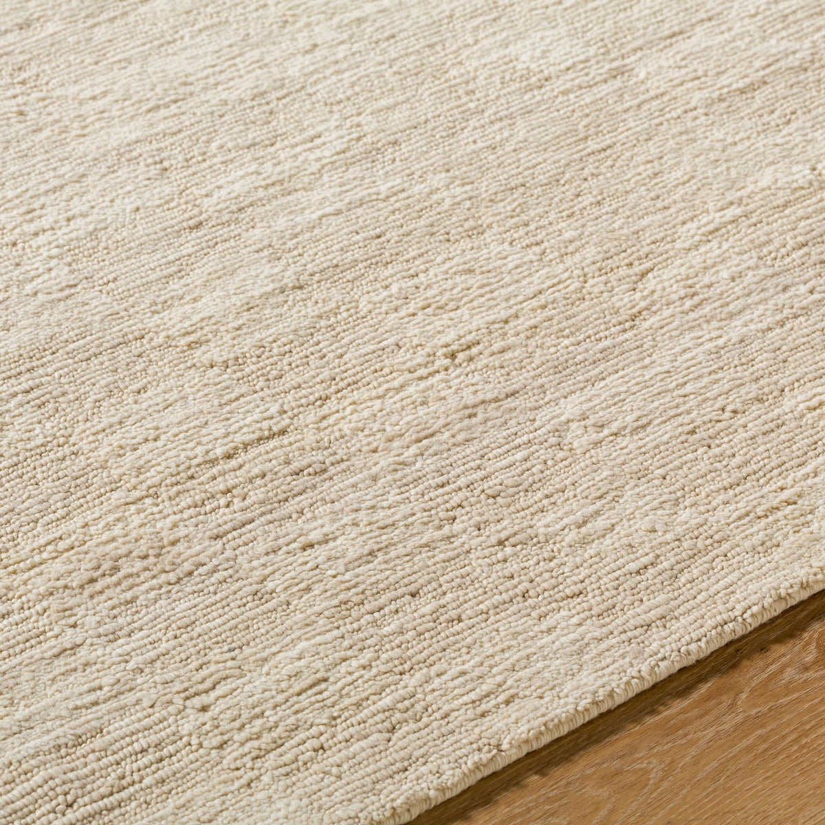 Surya Ventura VNR-2301 Hand Knotted Rug