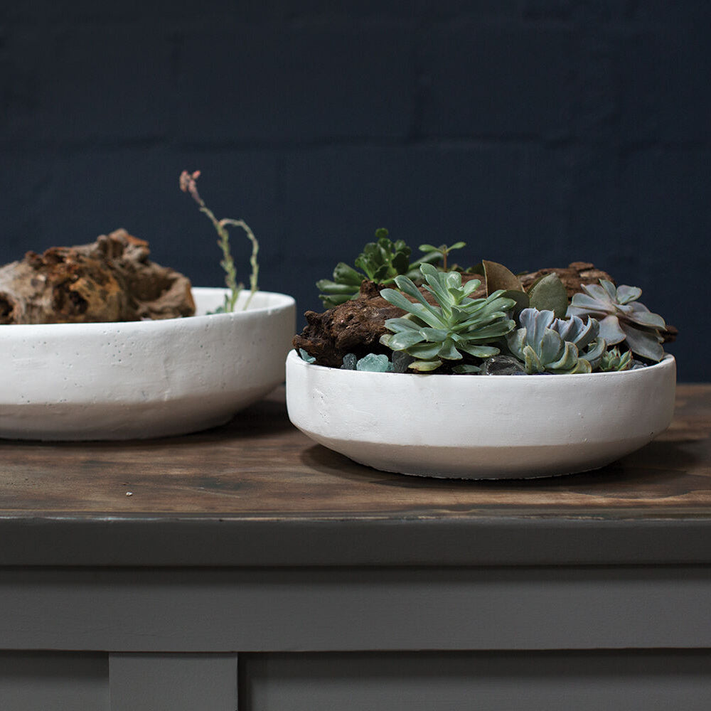 Zane Bowl shown as a styled home décor accent