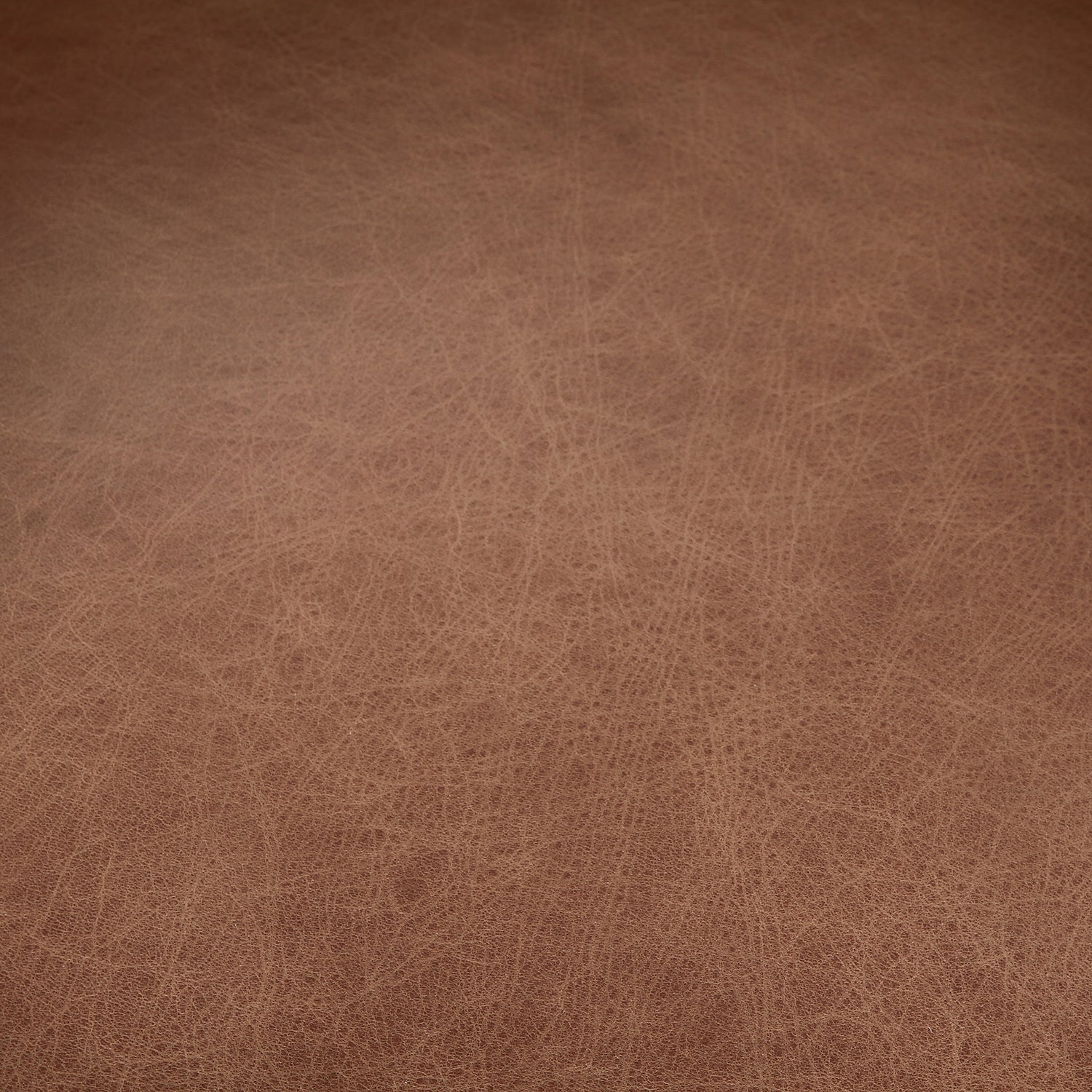 Four Hands Fae Leather Dining Chair