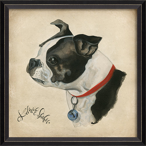 Dog Portrait Buster Framed Print