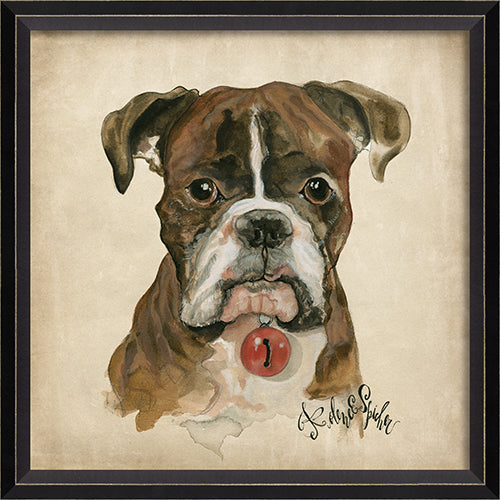 Dog Portrait Duke Framed Print