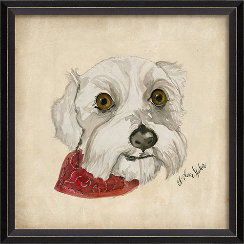 Dog Portrait Isabell Framed Print