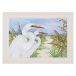 Roberts Great Egrets Framed Art