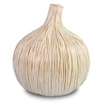 Currey & Co Garlic Bulb - Final Sale