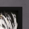 Austin Tulips on Black Framed Art Set of 2