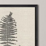 Langdon Modern Ferns I Framed Art Set of 2
