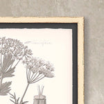 Grey Botanicals I Framed Art Set of 2