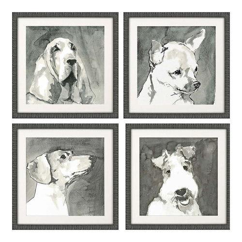 Cartissi Modern Dog Framed Art Set of 4