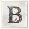Garden Alphabet B Framed Print