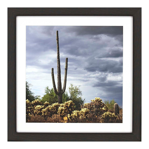 Hart Saguaro Centurion Framed Art