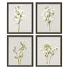 Goldberger White Field Flowers Framed Art Set of 4