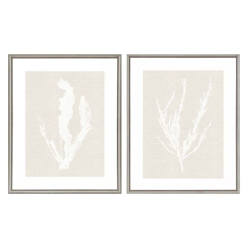 Inspire Studio Seaweed Framed Art Set of 2