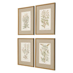 Giclee Studio Botanical Plants Framed Art Set of 4