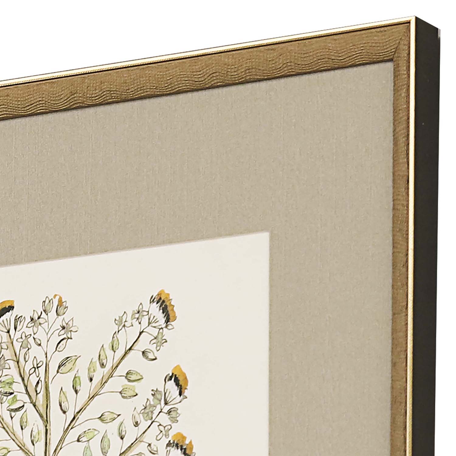 Giclee Studio Botanical Plants Framed Art Set of 4