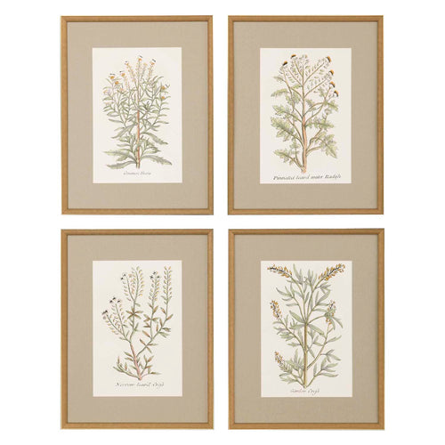 Giclee Studio Botanical Plants Framed Art Set of 4