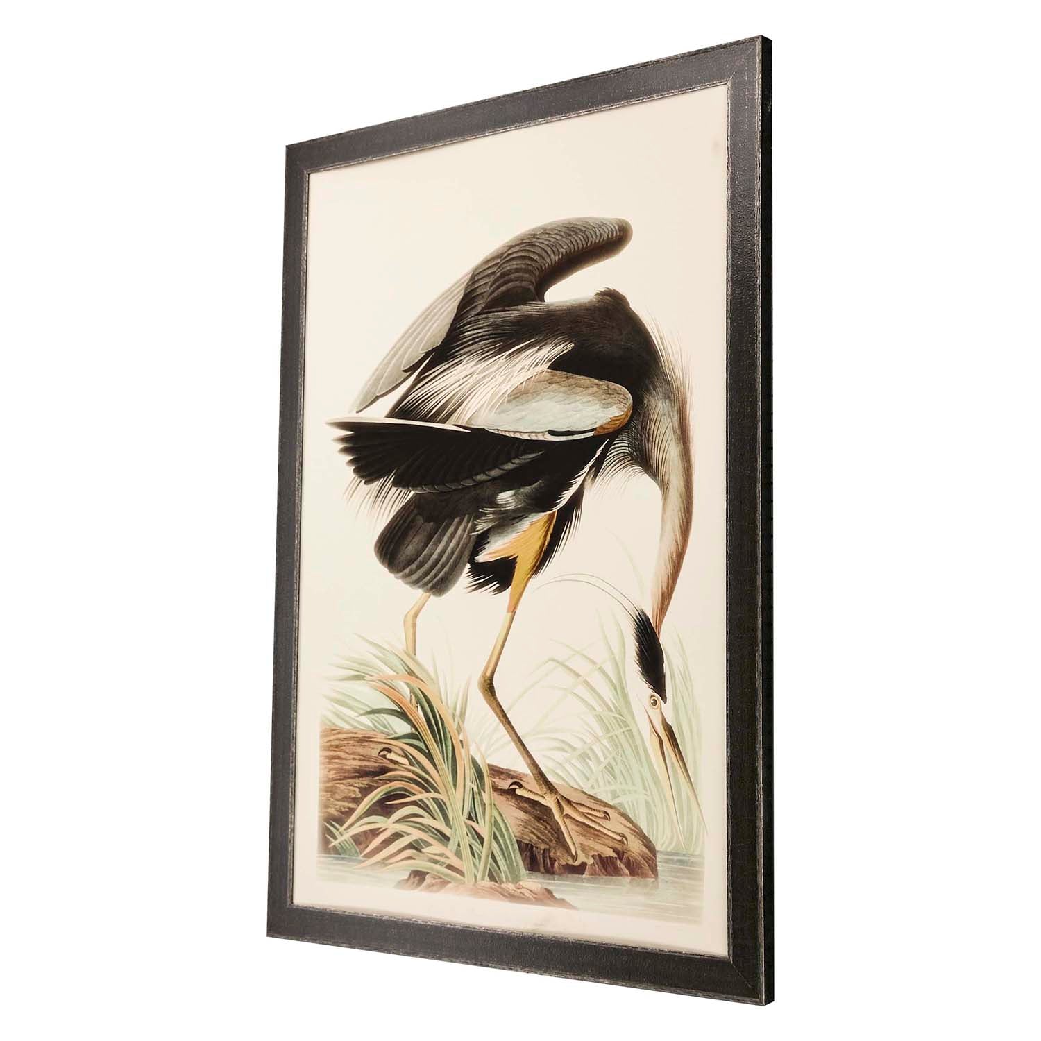 Audubon Great Blue Heron Framed Art