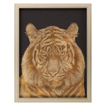 Francis Tiger Portrait Framed Art