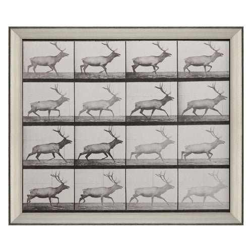 Mugbridge Elk Trotting Framed Art