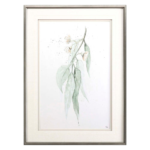 Pinto Delicate Eucalyptus I Framed Art